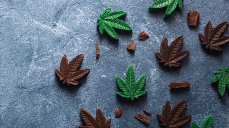 The Ins and Outs of THC Edibles: What You Need to Know