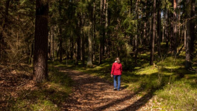 MaxHolidays BigCityExperience: The Ultimate Urban Adventure maxholidays bigcityexperience