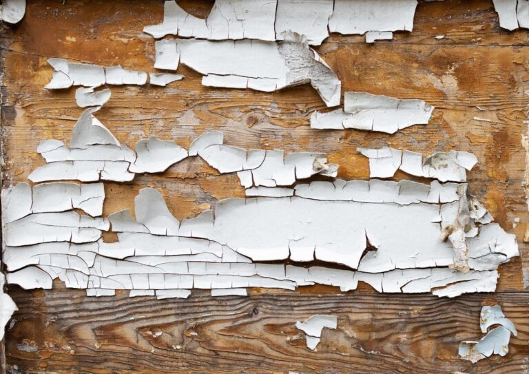 How Moisture Problems Lead to Dry Rot and What Homeowners Can Do About It